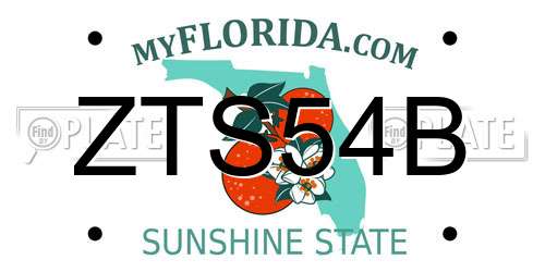 ZTS54B Florida License Plate