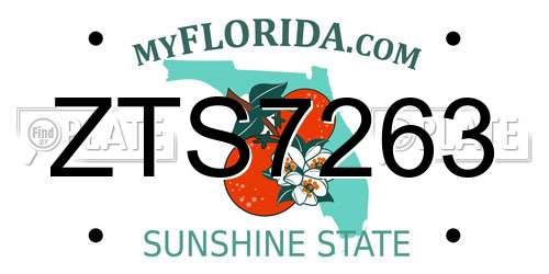 ZTS7263 Florida License Plate