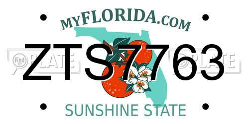 ZTS7763 Florida License Plate