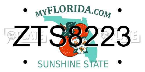 ZTS8223 Florida License Plate