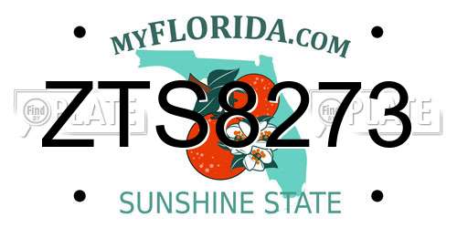ZTS8273 Florida License Plate