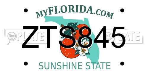ZTS845 Florida License Plate