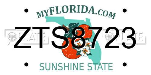 ZTS8723 Florida License Plate