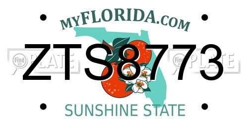 ZTS8773 Florida License Plate