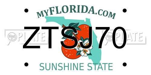 ZTSJ70 Florida License Plate