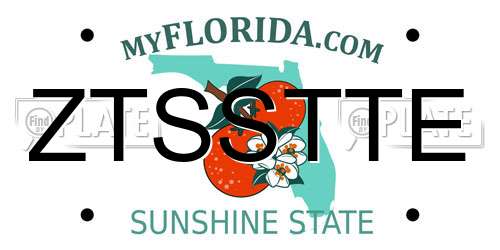 ZTSSTTE Florida License Plate