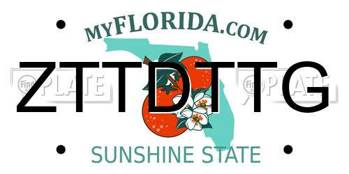 ZTTDTTG Florida License Plate