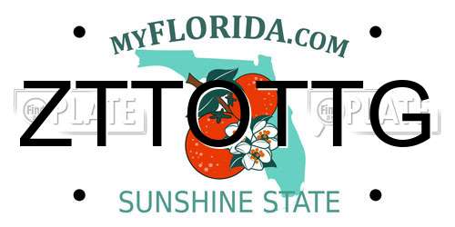 ZTTOTTG Florida License Plate