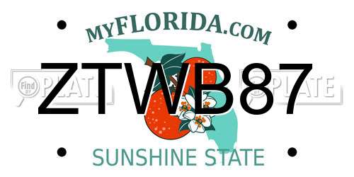 ZTWB87 Florida License Plate