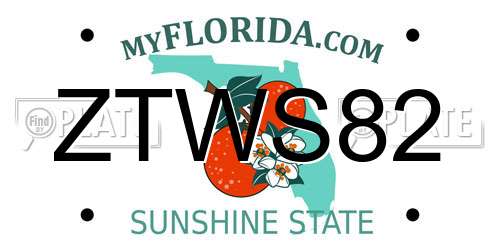 ZTWS82 Florida License Plate