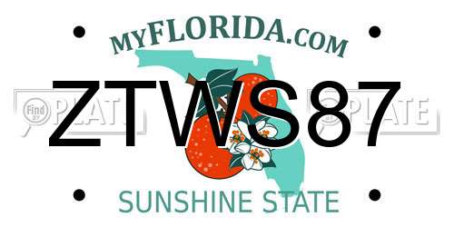 ZTWS87 Florida License Plate