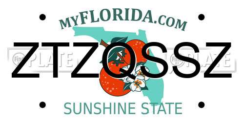 ZTZQSSZ Florida License Plate