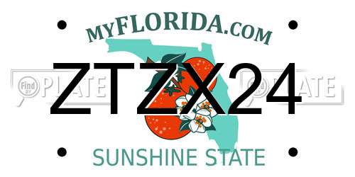 ZTZX24 Florida License Plate