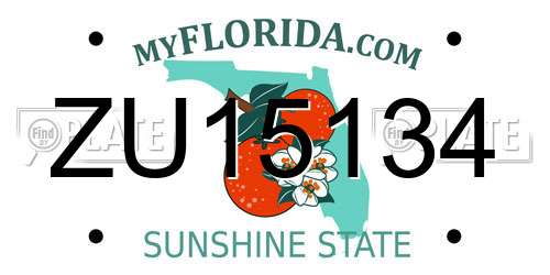 ZU15134 Florida License Plate