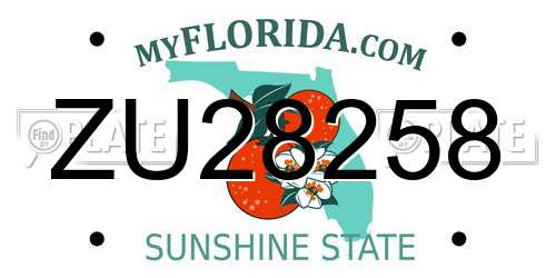 ZU28258 Florida License Plate