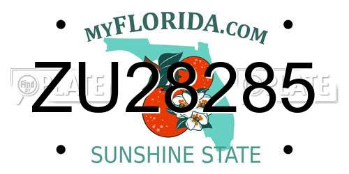 ZU28285 Florida License Plate