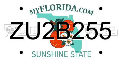 ZU2B255 Florida License Plate