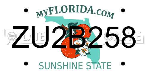 ZU2B258 Florida License Plate