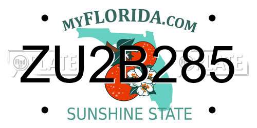 ZU2B285 Florida License Plate