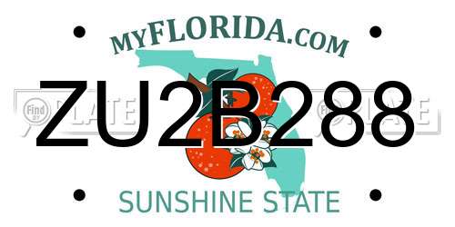 ZU2B288 Florida License Plate
