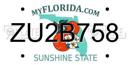 ZU2B758 Florida License Plate