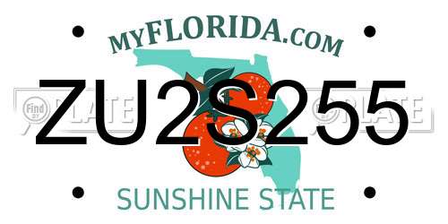 ZU2S255 Florida License Plate