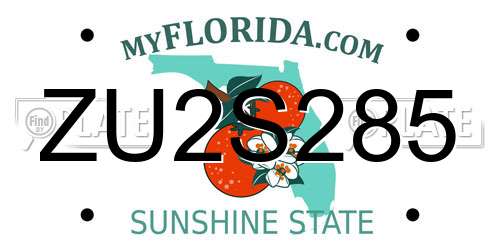 ZU2S285 Florida License Plate