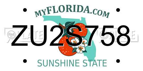 ZU2S758 Florida License Plate