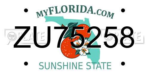 ZU75258 Florida License Plate