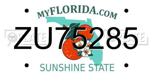 ZU75285 Florida License Plate