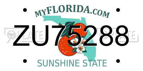 ZU75288 Florida License Plate