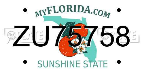 ZU75758 Florida License Plate