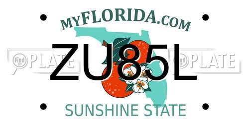ZU85L Florida License Plate