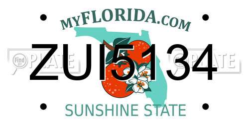 ZUI5134 Florida License Plate