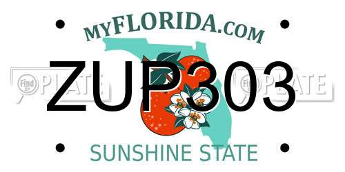 ZUP303 Florida License Plate