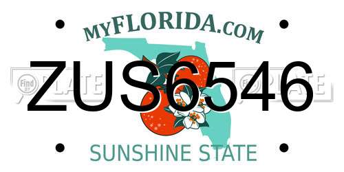 ZUS6546 Florida License Plate