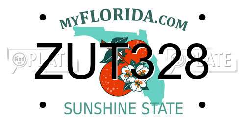 ZUT328 Florida License Plate