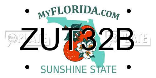 ZUT32B Florida License Plate