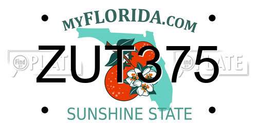 ZUT375 Florida License Plate