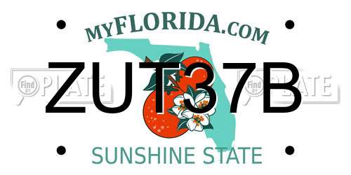 ZUT37B Florida License Plate