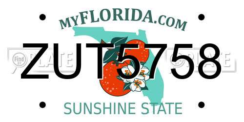 ZUT5758 Florida License Plate
