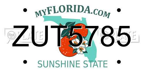 ZUT5785 Florida License Plate