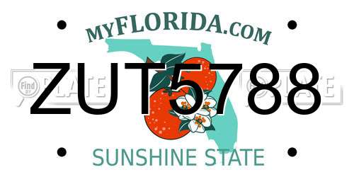 ZUT5788 Florida License Plate