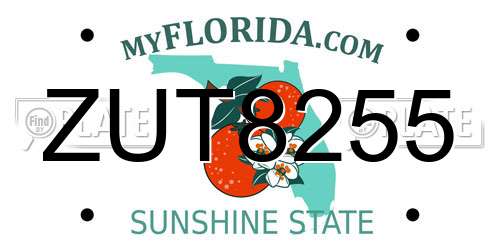 ZUT8255 Florida License Plate