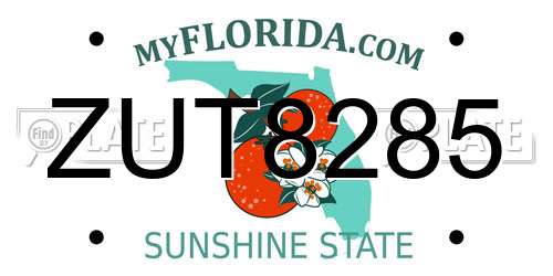 ZUT8285 Florida License Plate