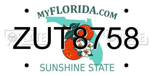 ZUT8758 Florida License Plate