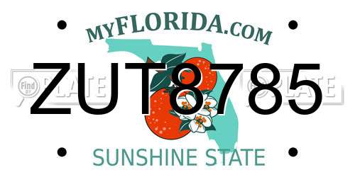 ZUT8785 Florida License Plate