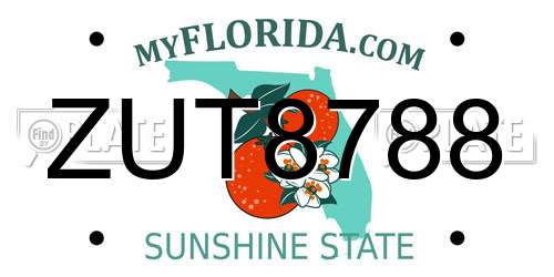 ZUT8788 Florida License Plate