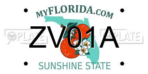 ZV01A Florida License Plate