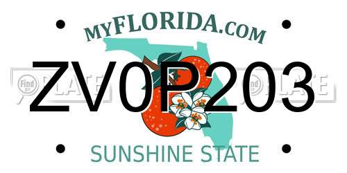 ZV0P203 Florida License Plate